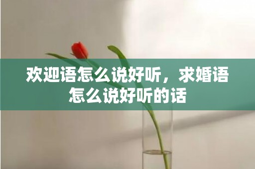 欢迎语怎么说好听，求婚语怎么说好听的话