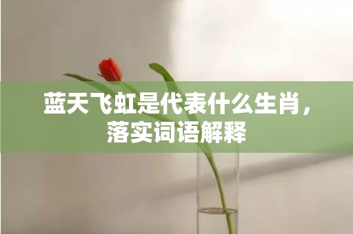 蓝天飞虹是代表什么生肖，落实词语解释