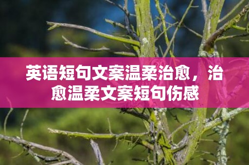 英语短句文案温柔治愈，治愈温柔文案短句伤感