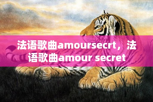 法语歌曲amoursecrt，法语歌曲amour secret