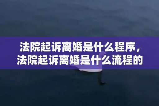 法院起诉离婚是什么程序，法院起诉离婚是什么流程的