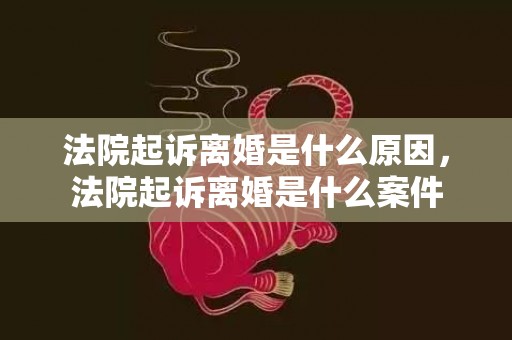 法院起诉离婚是什么原因，法院起诉离婚是什么案件