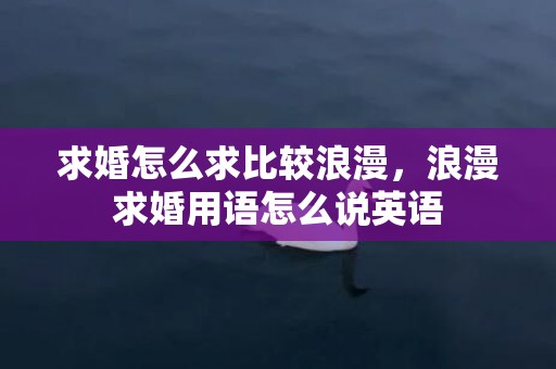 求婚怎么求比较浪漫，浪漫求婚用语怎么说英语