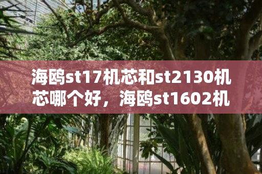 海鸥st17机芯和st2130机芯哪个好，海鸥st1602机芯怎么样