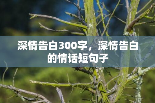 深情告白300字，深情告白的情话短句子