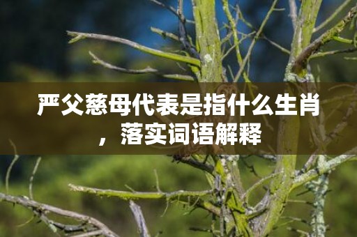 严父慈母代表是指什么生肖，落实词语解释