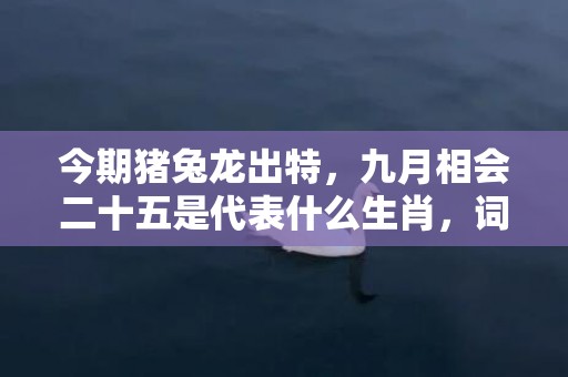 今期猪兔龙出特，九月相会二十五是代表什么生肖，词意释义落实