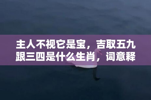 主人不视它是宝，吉取五九跟三四是什么生肖，词意释义落实