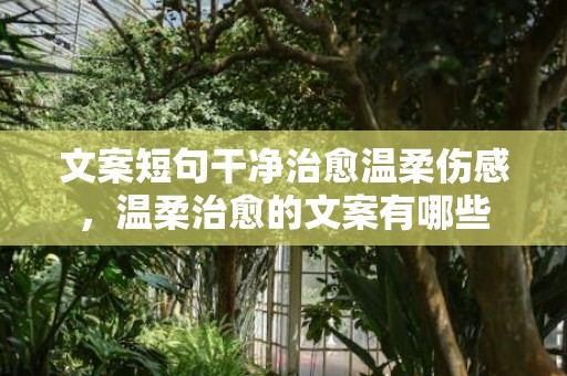 文案短句干净治愈温柔伤感，温柔治愈的文案有哪些