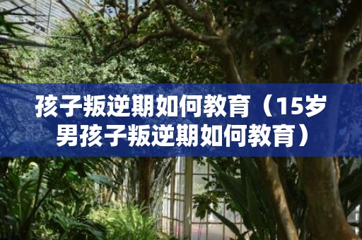 孩子叛逆期如何教育（15岁男孩子叛逆期如何教育）