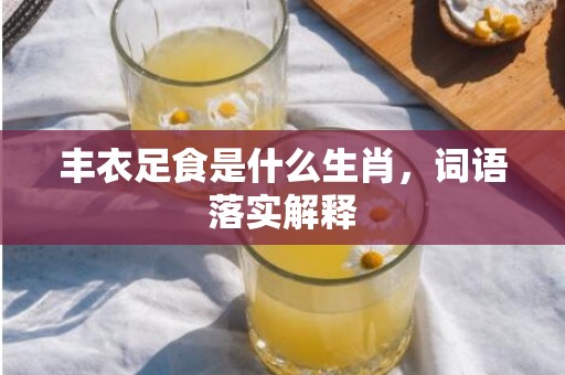 丰衣足食是什么生肖，词语落实解释