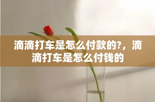 滴滴打车是怎么付款的?，滴滴打车是怎么付钱的