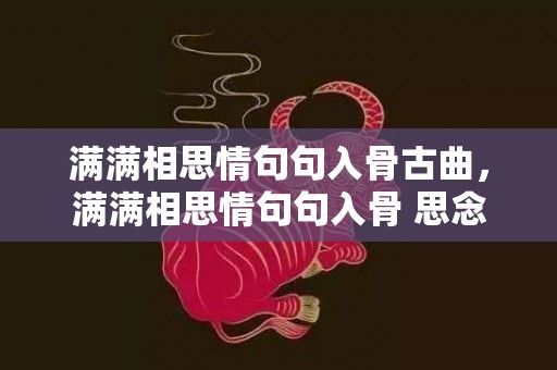 满满相思情句句入骨古曲，满满相思情句句入骨 思念