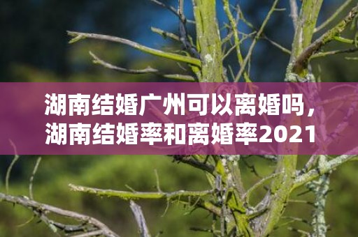 湖南结婚广州可以离婚吗，湖南结婚率和离婚率2021