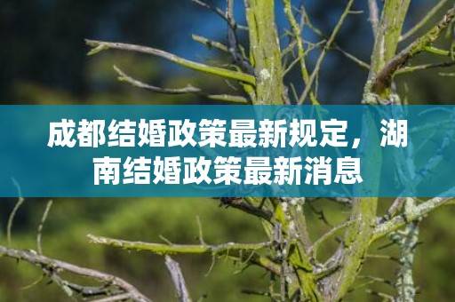 成都结婚政策最新规定，湖南结婚政策最新消息