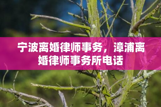 宁波离婚律师事务，漳浦离婚律师事务所电话