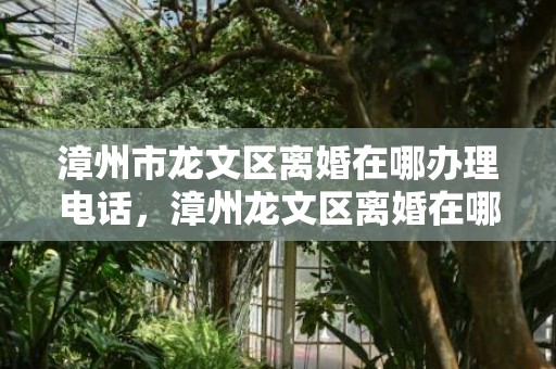 漳州市龙文区离婚在哪办理电话，漳州龙文区离婚在哪里办