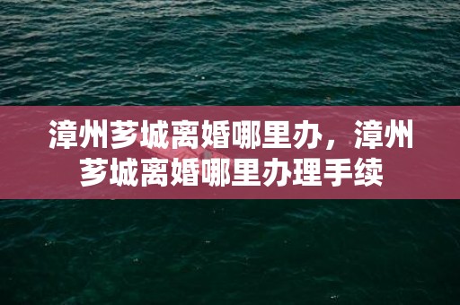 漳州芗城离婚哪里办，漳州芗城离婚哪里办理手续