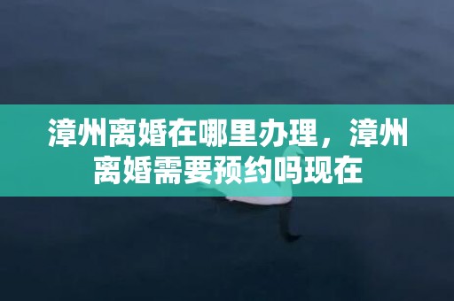 漳州离婚在哪里办理，漳州离婚需要预约吗现在