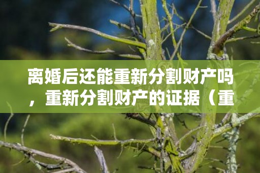 离婚后还能重新分割财产吗，重新分割财产的证据（重新分割遗产 诉讼时效）