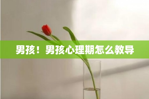 男孩！男孩心理期怎么教导