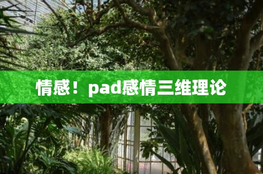 情感！pad感情三维理论