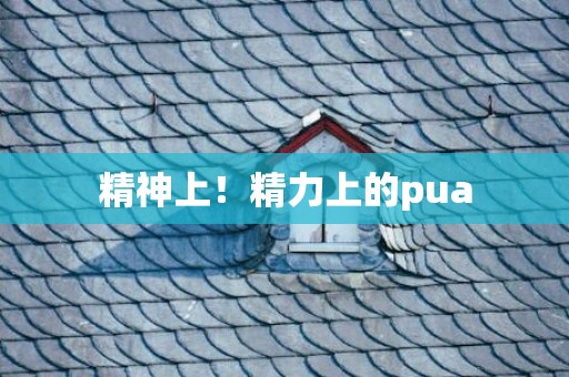 精神上！精力上的pua