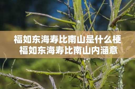 福如东海寿比南山是什么梗 福如东海寿比南山内涵意思