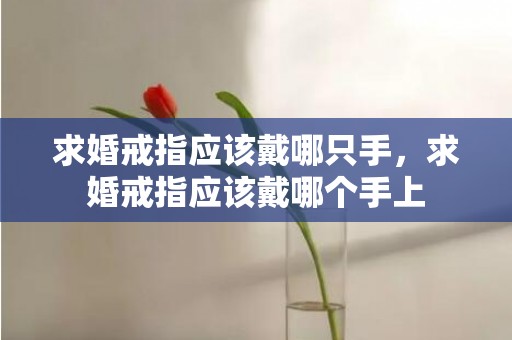 求婚戒指应该戴哪只手，求婚戒指应该戴哪个手上