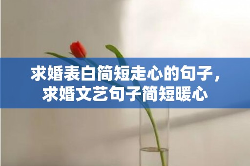 求婚表白简短走心的句子，求婚文艺句子简短暖心