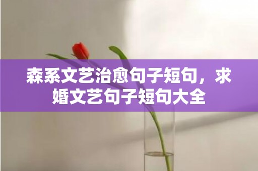 森系文艺治愈句子短句，求婚文艺句子短句大全