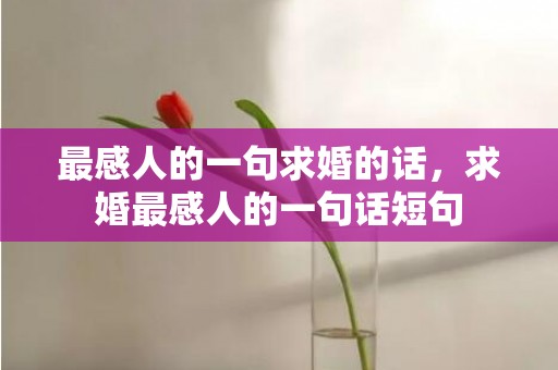 最感人的一句求婚的话，求婚最感人的一句话短句