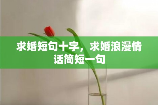 求婚短句十字，求婚浪漫情话简短一句