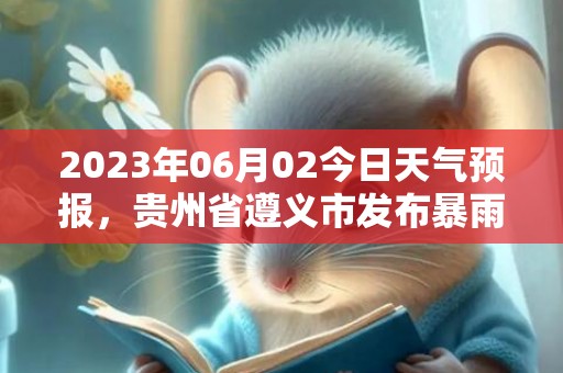 2023年06月02今日天气预报，贵州省遵义市发布暴雨黄色预警