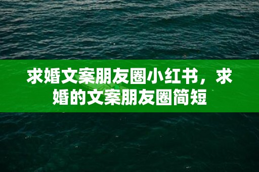 求婚文案朋友圈小红书，求婚的文案朋友圈简短