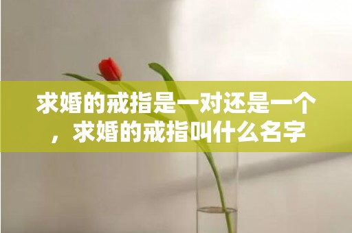 求婚的戒指是一对还是一个，求婚的戒指叫什么名字