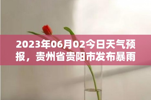 2023年06月02今日天气预报，贵州省贵阳市发布暴雨黄色预警