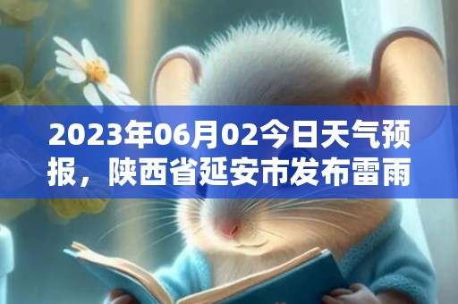 2023年06月02今日天气预报，陕西省延安市发布雷雨大风黄色预警