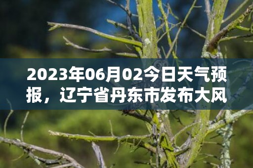 2023年06月02今日天气预报，辽宁省丹东市发布大风蓝色预警