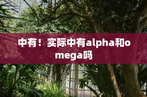 中有！实际中有alpha和omega吗