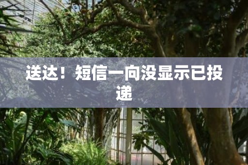 送达！短信一向没显示已投递