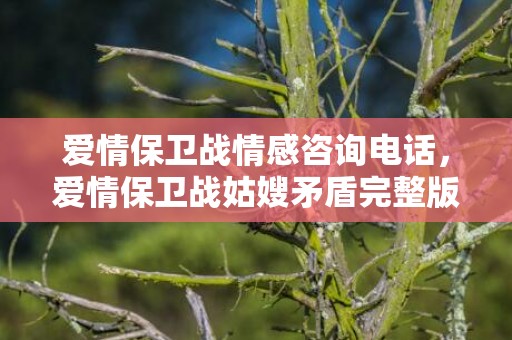 爱情保卫战情感咨询电话，爱情保卫战姑嫂矛盾完整版