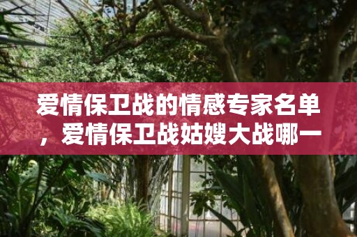 爱情保卫战的情感专家名单，爱情保卫战姑嫂大战哪一期