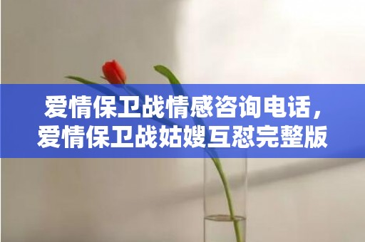 爱情保卫战情感咨询电话，爱情保卫战姑嫂互怼完整版