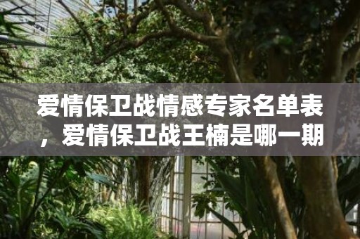 爱情保卫战情感专家名单表，爱情保卫战王楠是哪一期