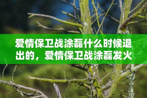 爱情保卫战涂磊什么时候退出的，爱情保卫战涂磊发火哪期