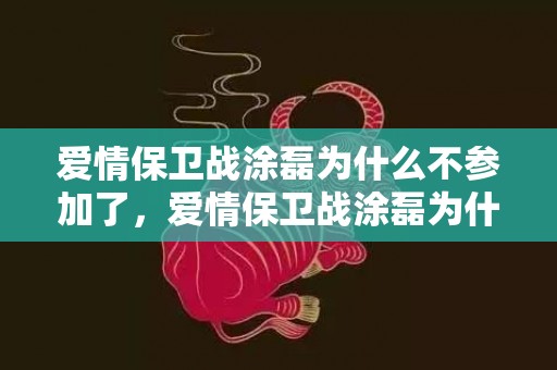 爱情保卫战涂磊为什么不参加了，爱情保卫战涂磊为什么退出