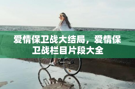 爱情保卫战大结局，爱情保卫战栏目片段大全