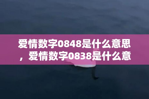 爱情数字0848是什么意思，爱情数字0838是什么意思