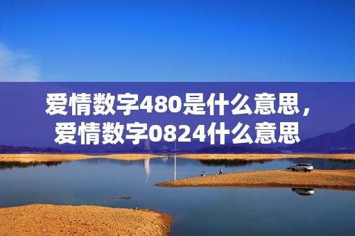 爱情数字480是什么意思，爱情数字0824什么意思